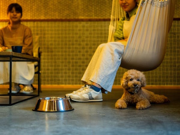 小町 YAMASITI棟(須田邸)蔵【イメージ】