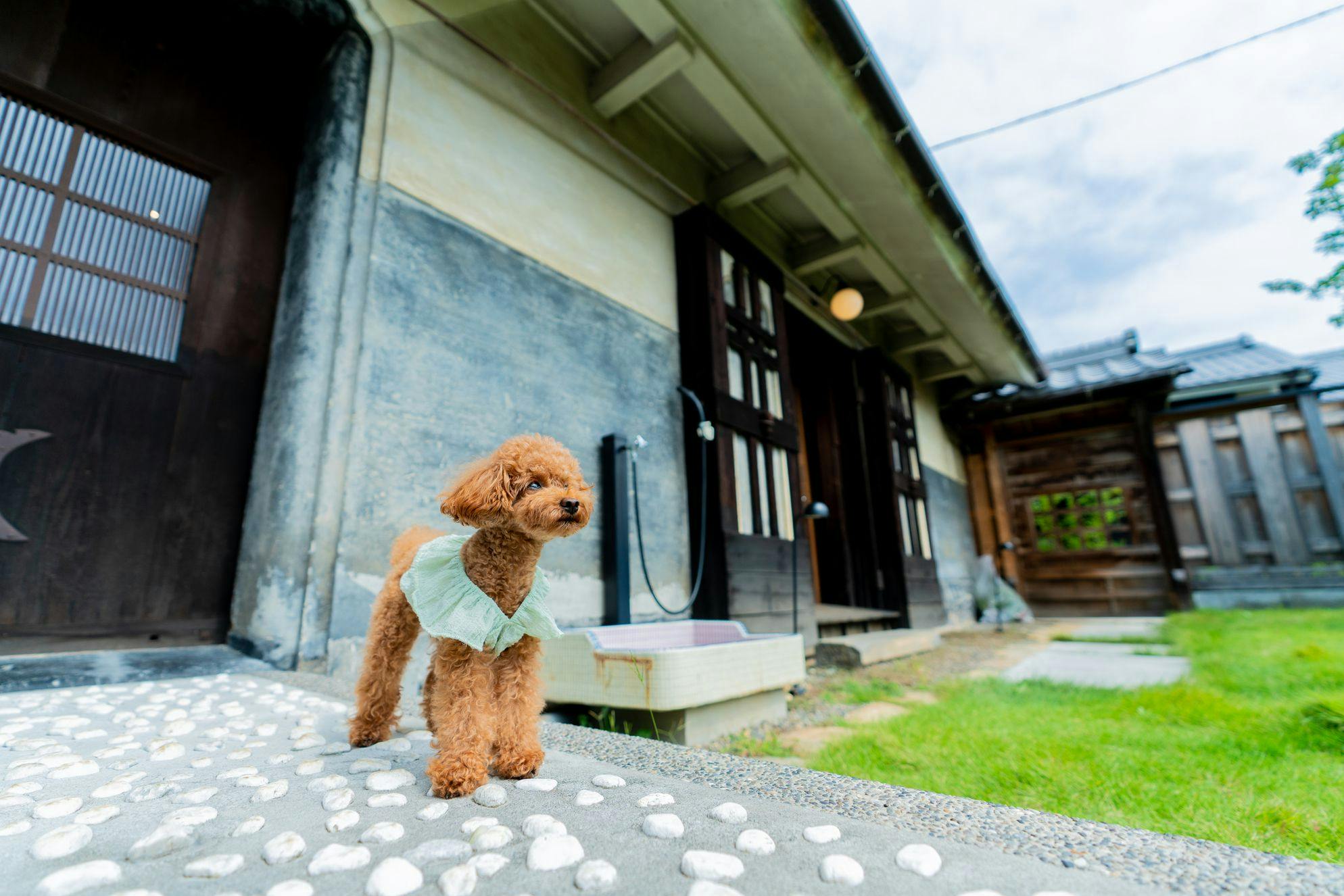 NIPPONIA美濃商家町