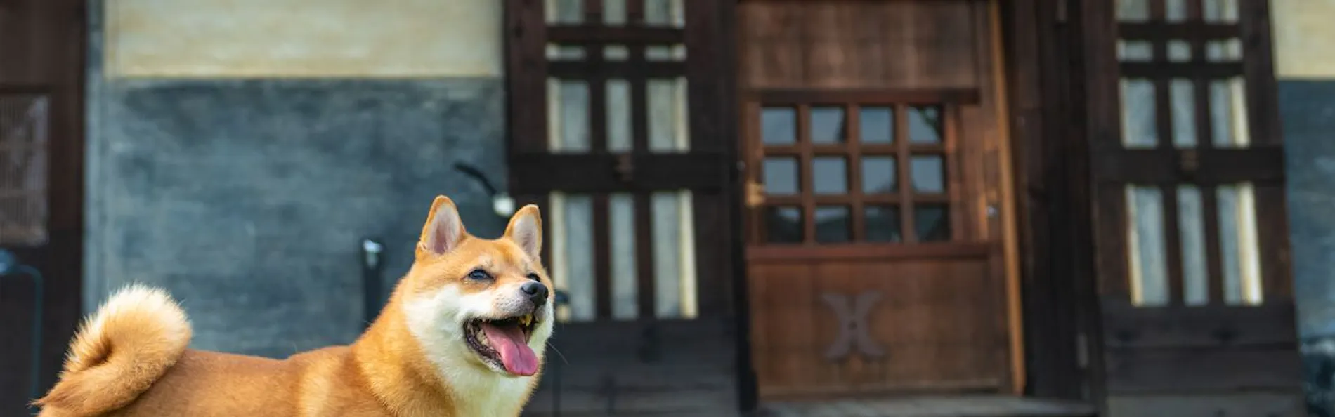 NIPPONIA美濃商家町