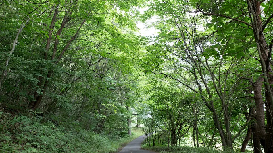 Prince Vacation Club Villa Karuizawa Asama