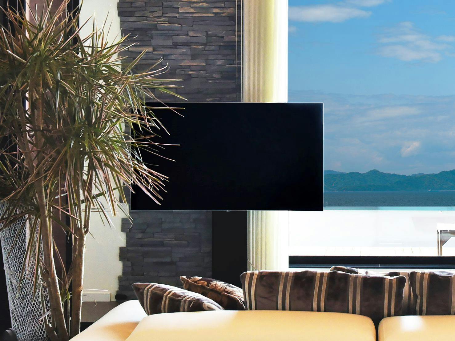 ทีวี OLED ขนาด 55 นิ้ว พร้อม Netflix
