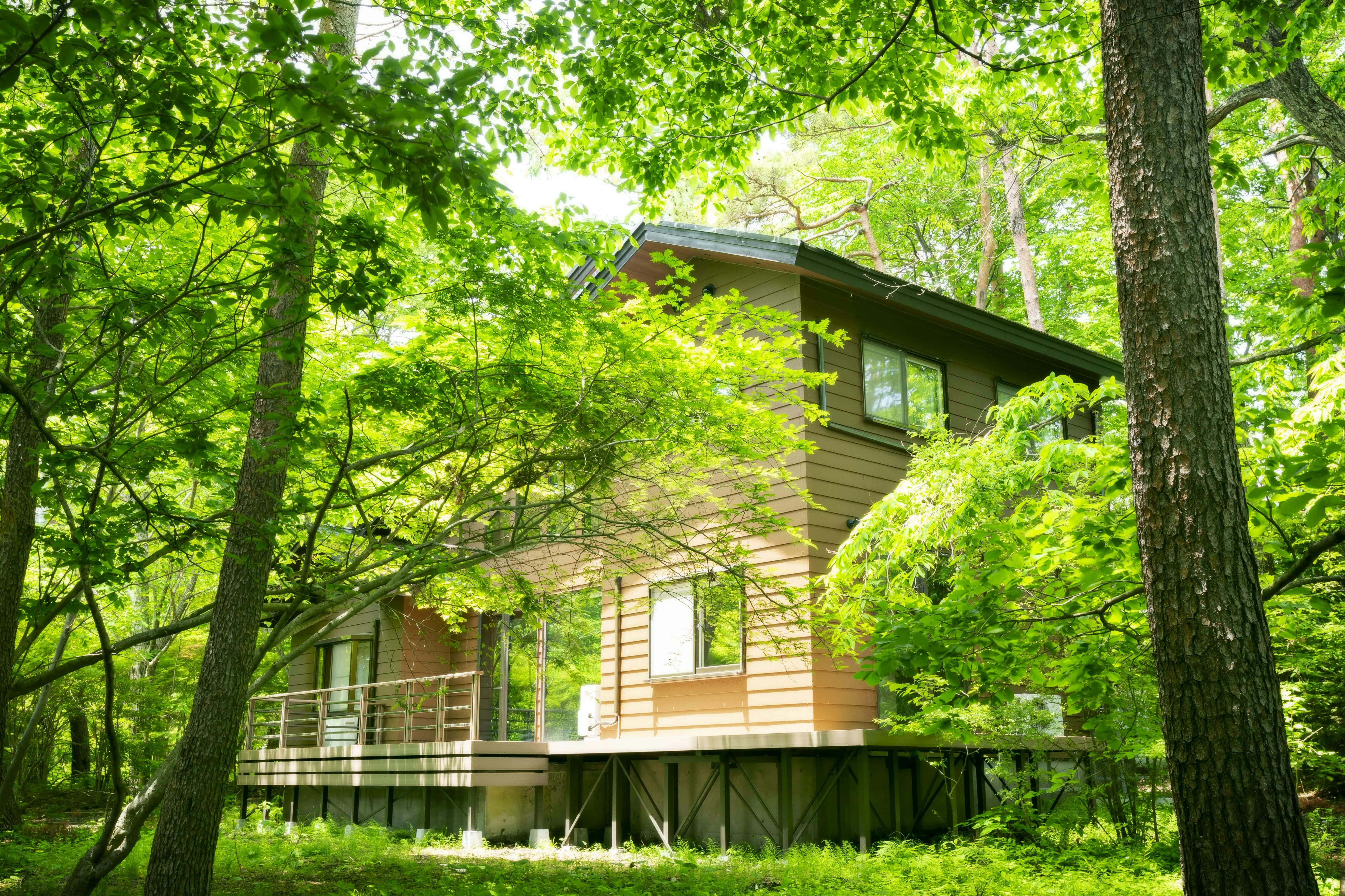 森の住処-karuizawa-】 の空室状況を確認する - 宿泊予約は[一休.com]