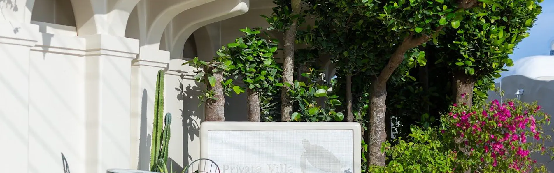 Yuki Suite Kourijima