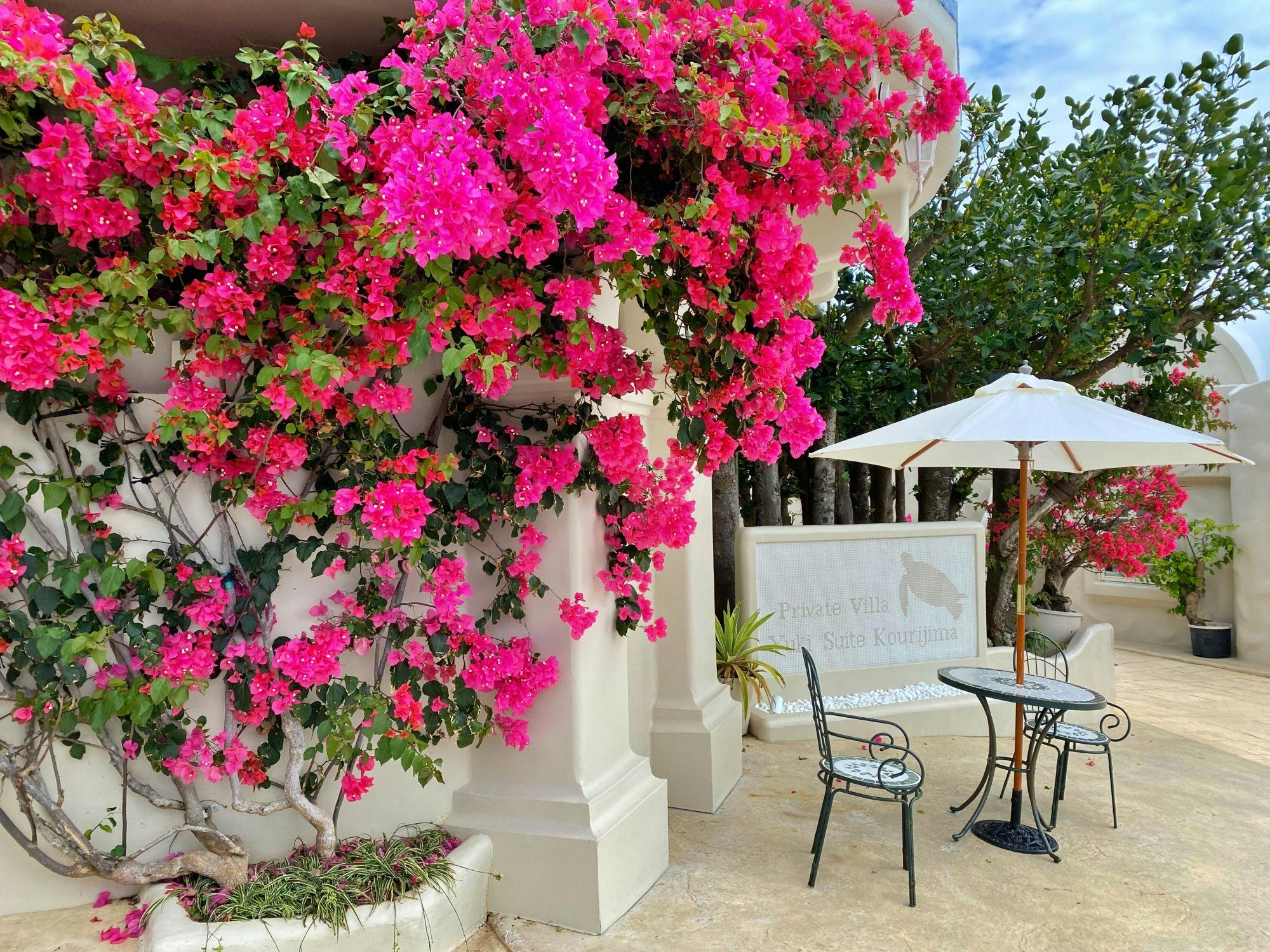 Yuki Suite Kourijima