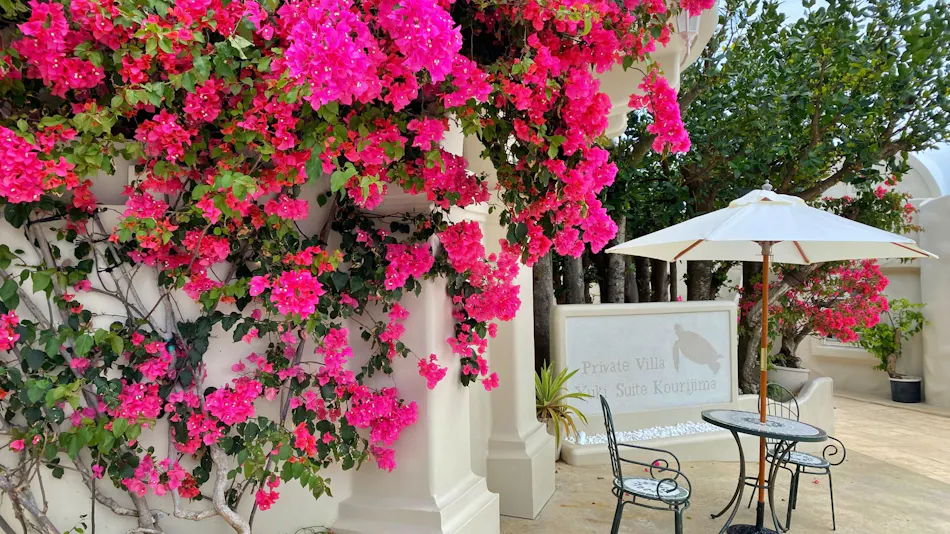 Yuki Suite Kourijima