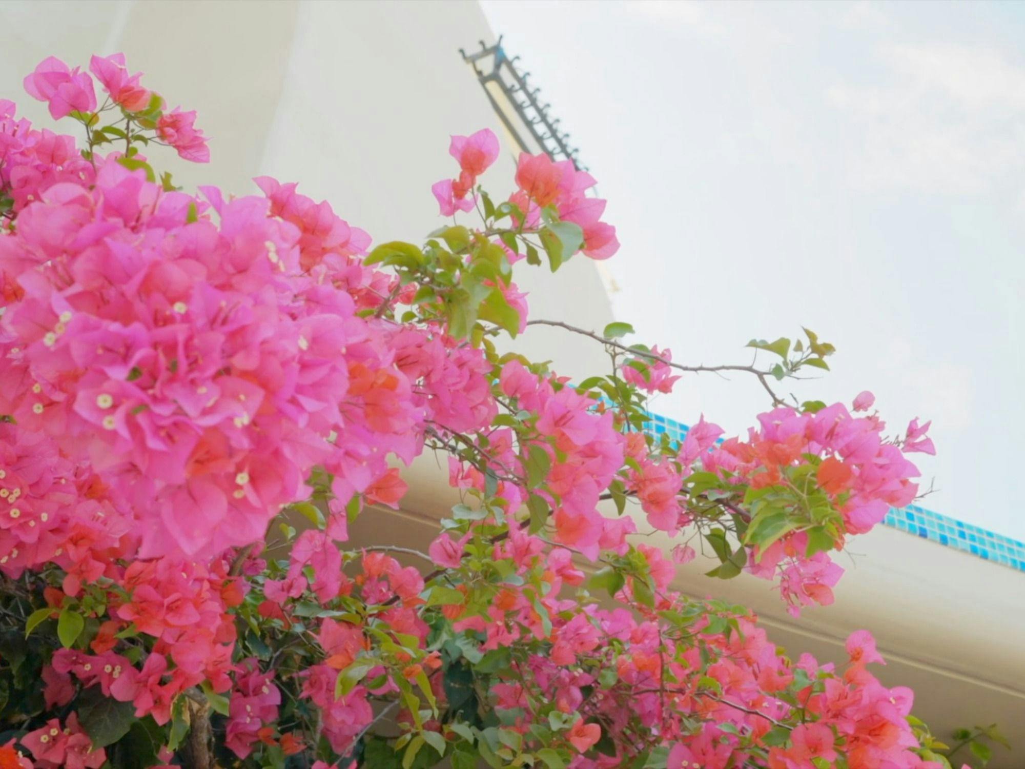 แนะนำ Yuki Suite