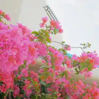 แนะนำ Yuki Suite