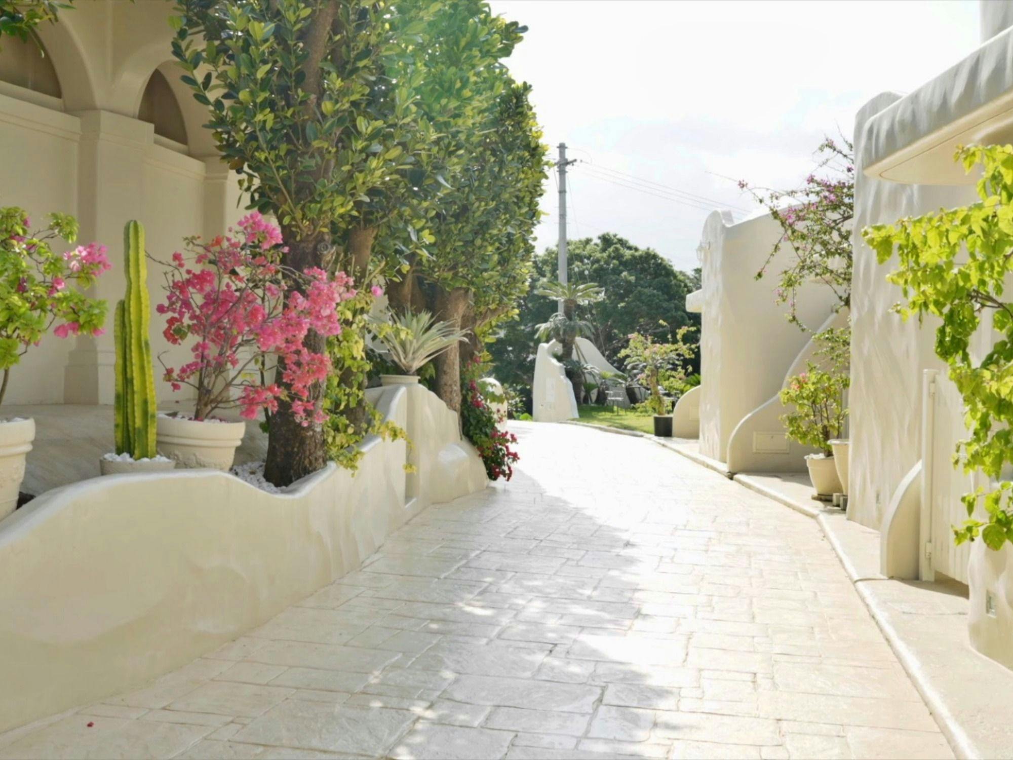 Yuki Suite Kourijima
