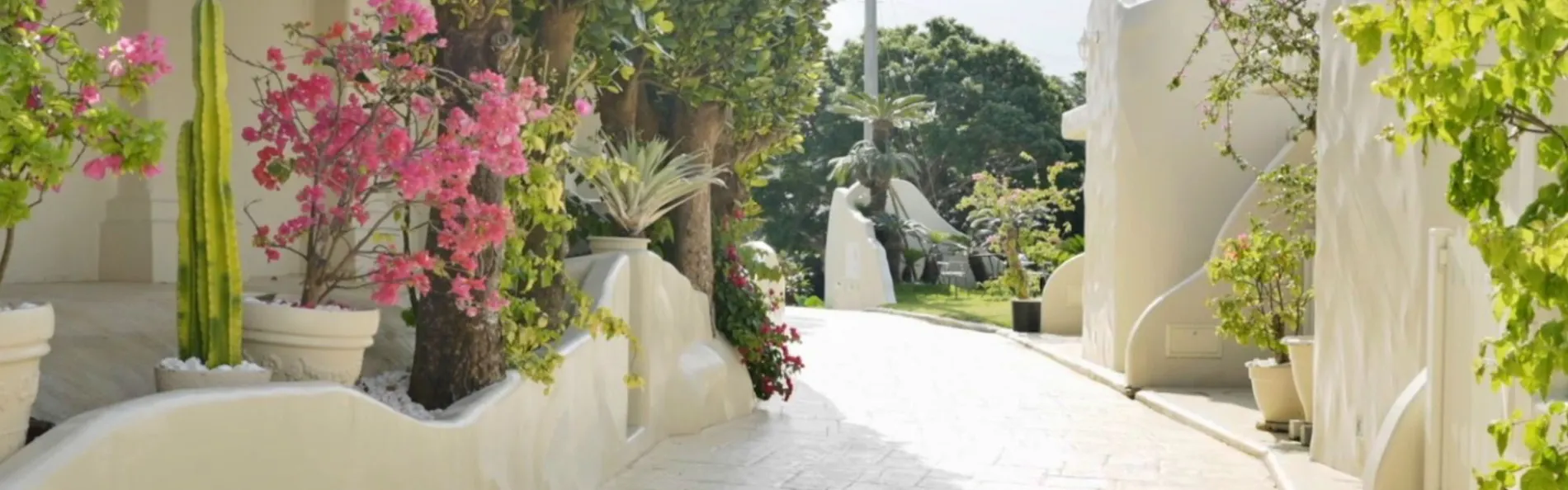 Yuki Suite Kourijima