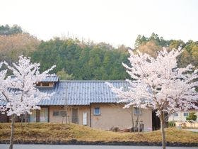 温楽ノ森 2枚目