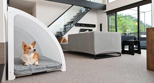 ペットと泊まれる宿