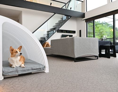 デザイナーズドッグハウス