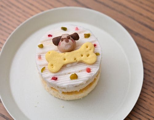 あさま空山望オリジナルわんちゃんのケーキ