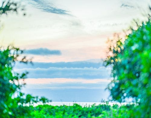 施設へ向かう道