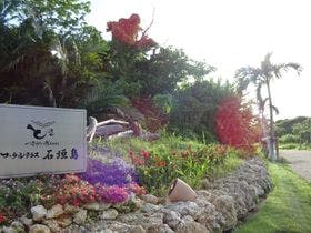 コーラルテラス石垣島