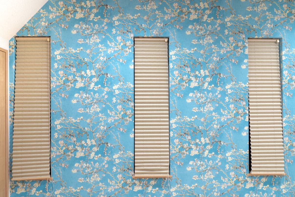 Vila Fuji Bon Voyage Sora