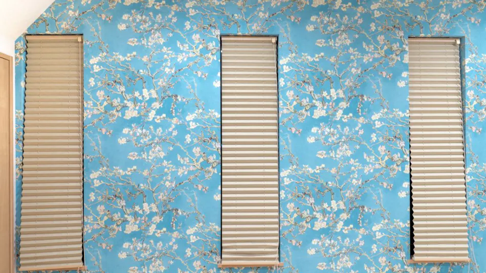 Vila Fuji Bon Voyage Sora