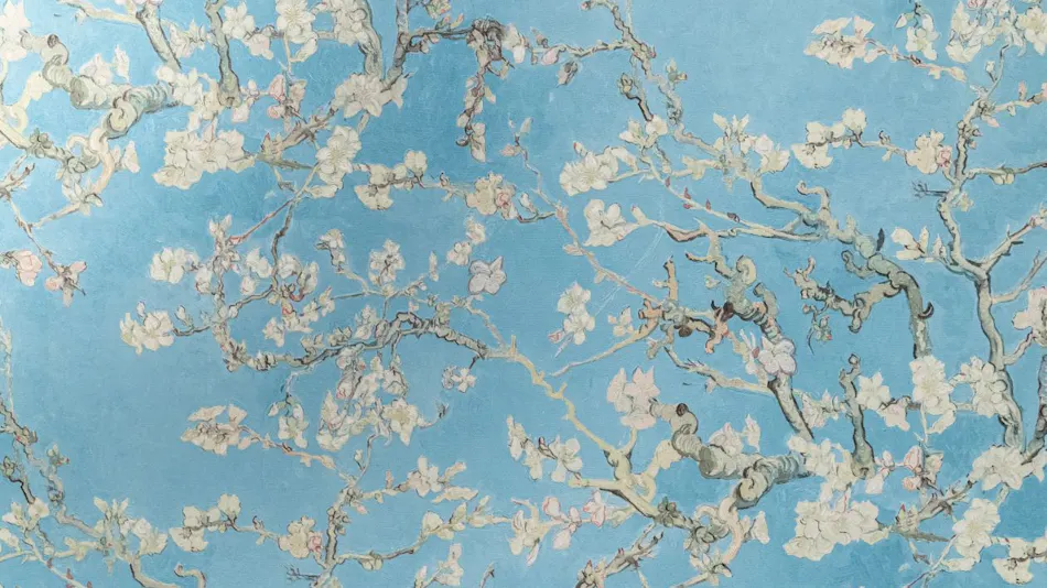 Vila Fuji Bon Voyage Sora