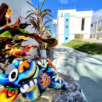 빌라 '소라'의 시사