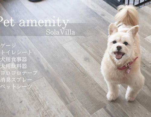 愛犬アメニティ
