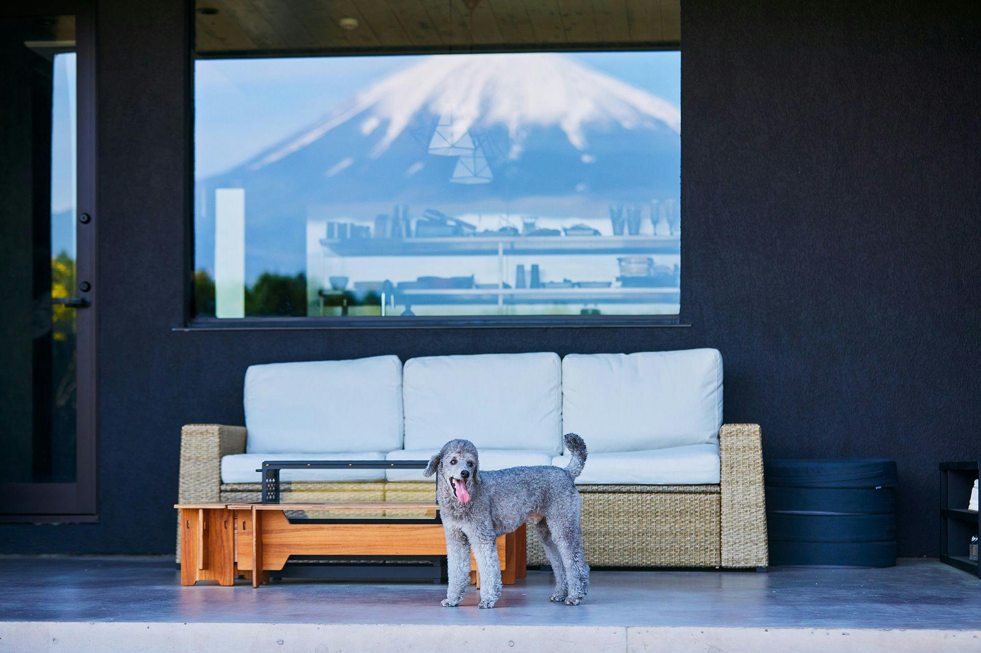 abrAsus house Fuji