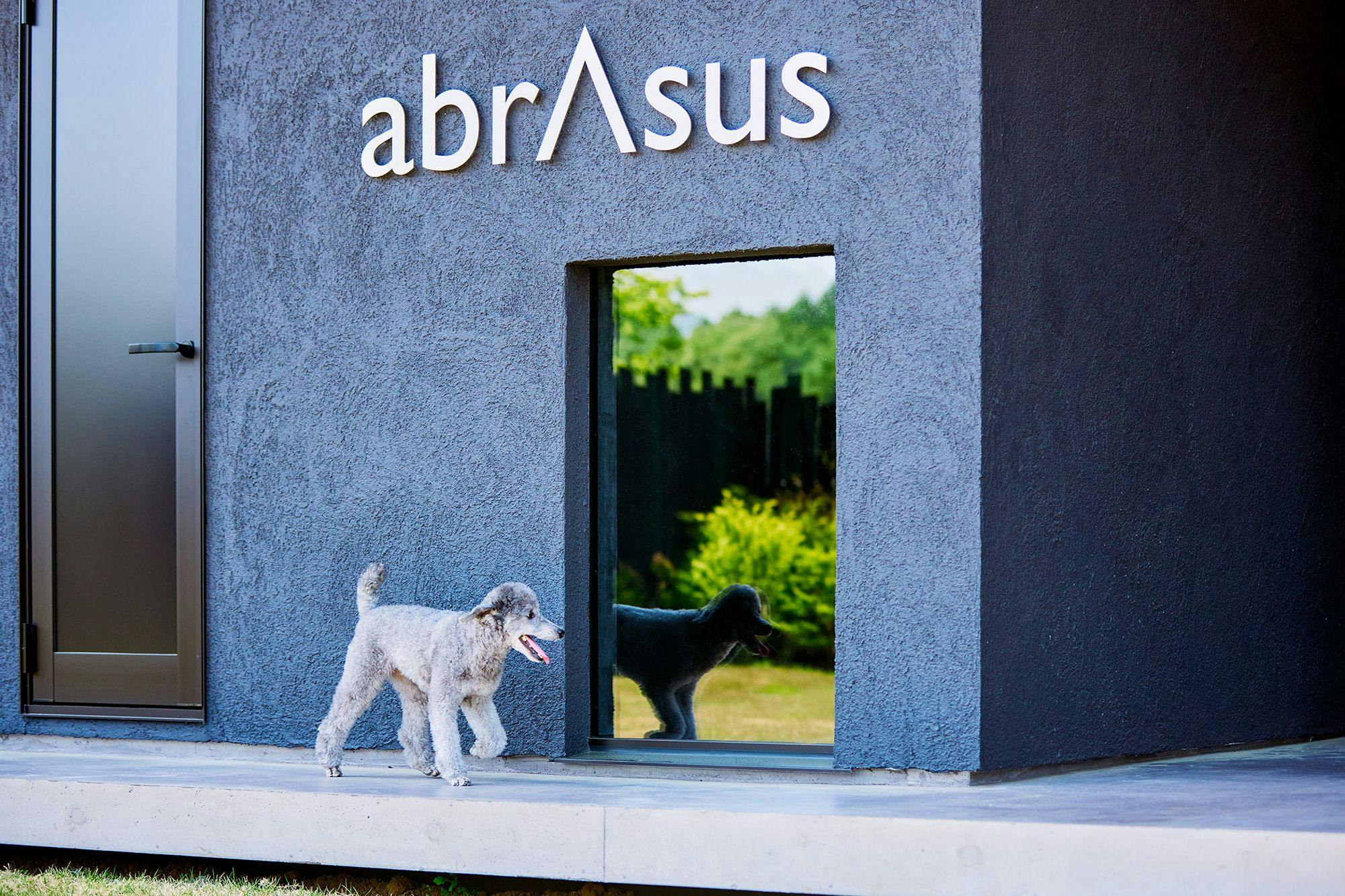 abrAsus house Fuji