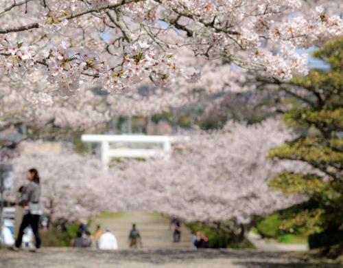 富津館山道路「富浦IC」から車で約30分。