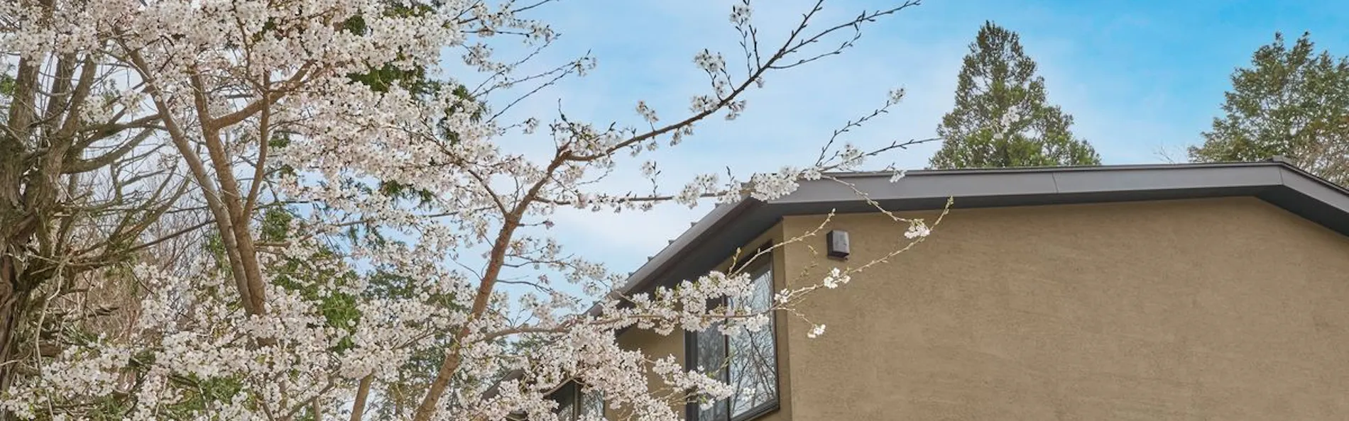 Rakuten STAY VILLA 箱根仙石原
