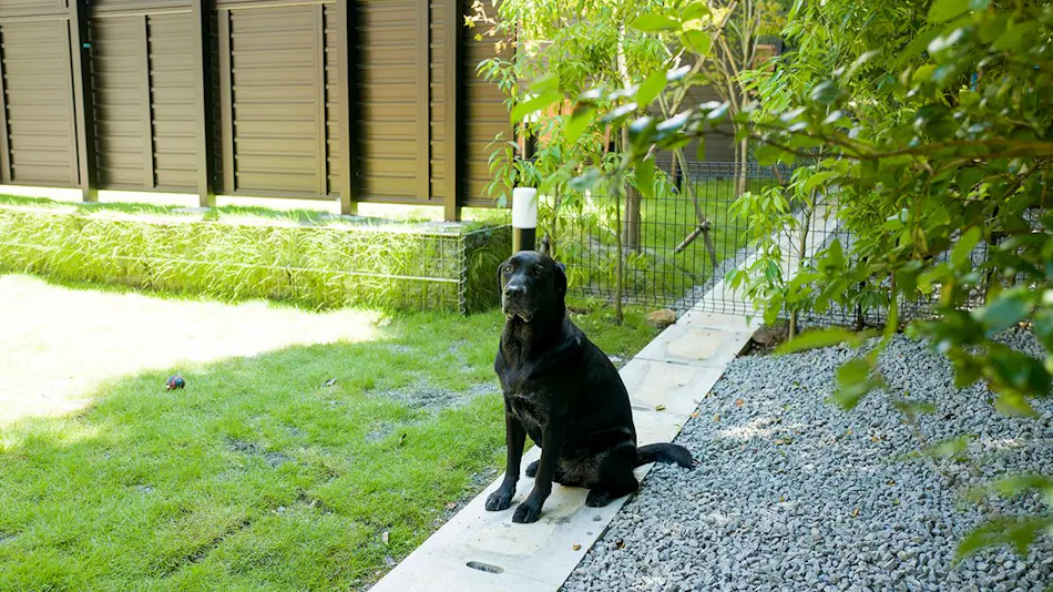 Rakuten STAY VILLA Hakone Sengokuhara