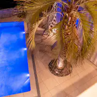 ไคโตะ -kaito- TOKYOBAY