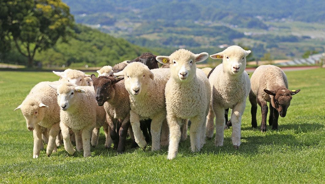 รอบๆ 海都-kaito- TOKYOBAY