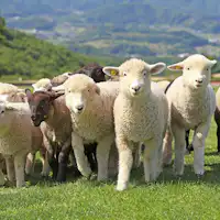 รอบๆ 海都-kaito- TOKYOBAY