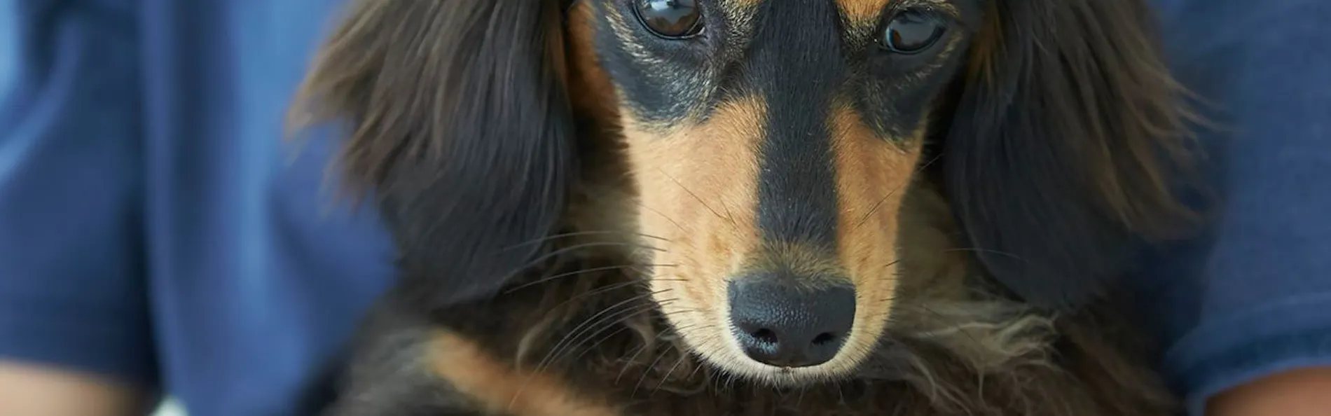 ビーチテラス房総