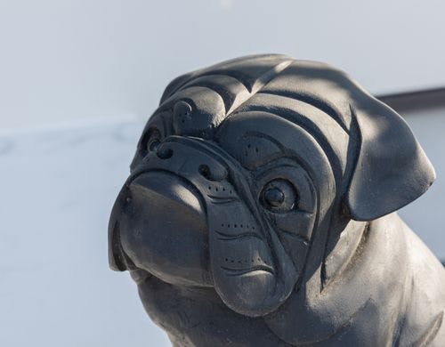 招きワンコがお待ちしております。