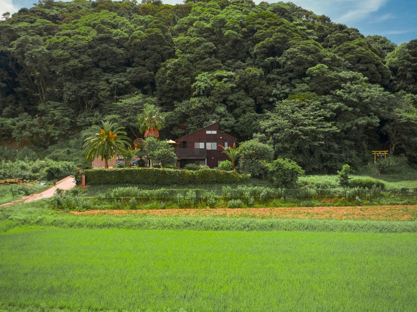 UMIYAMA CHIKURA