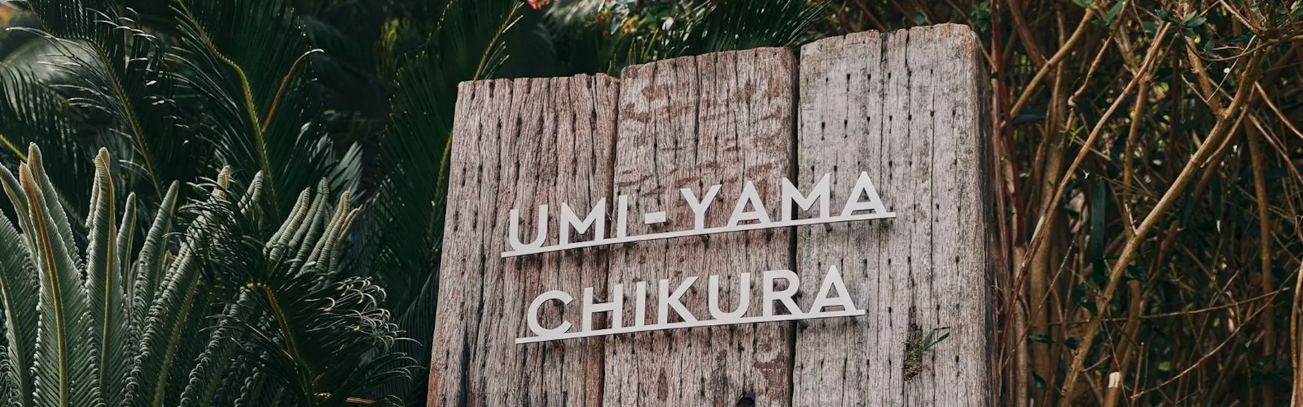 UMIYAMA CHIKURA