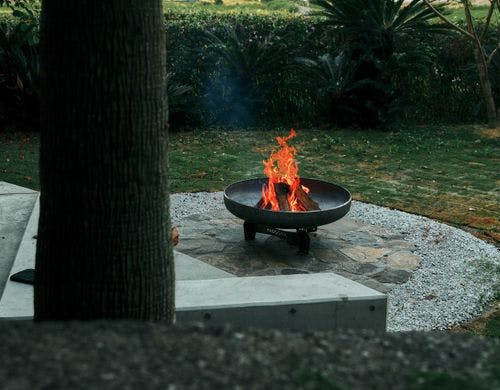 BONFIRE