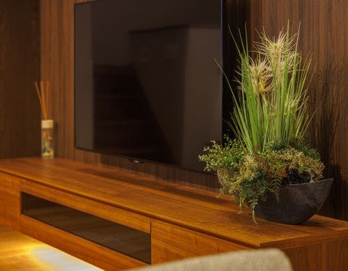 客室のいたるところに観葉植物がございます