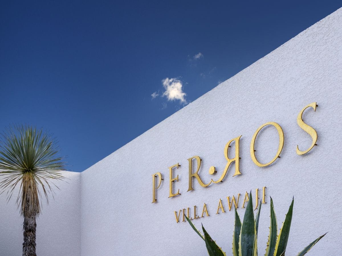 PERROS VILLA AWAJI