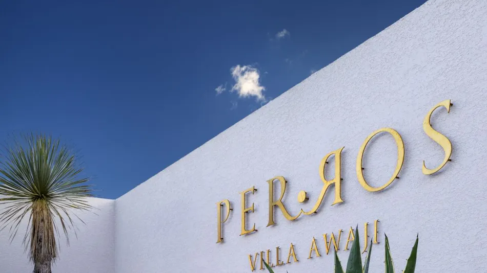 PERROS VILLA AWAJI