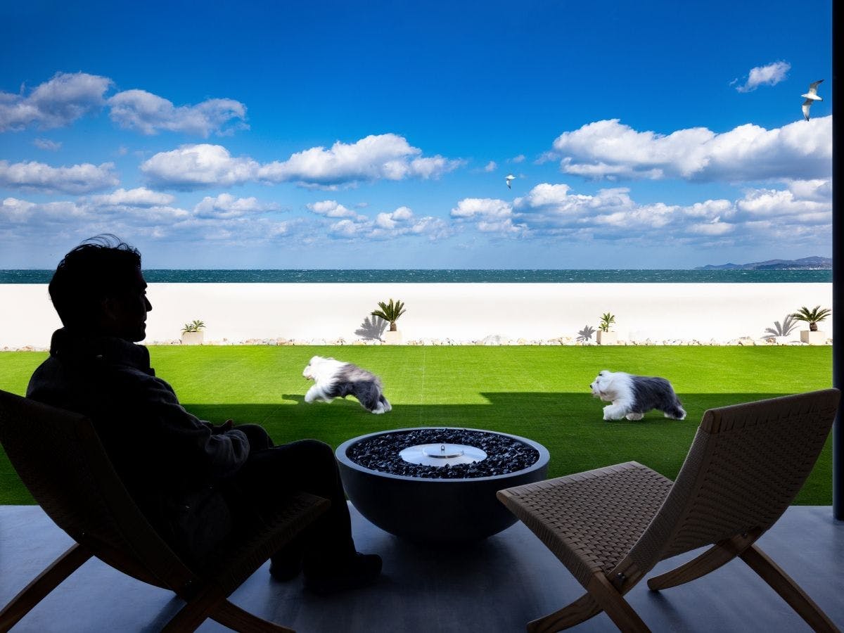 PERROS VILLA AWAJI