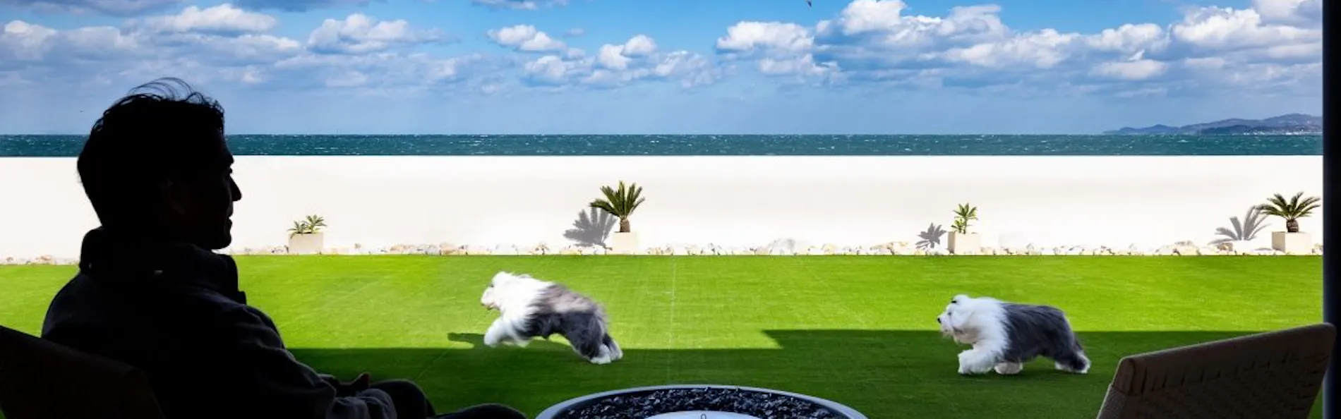 PERROS VILLA AWAJI