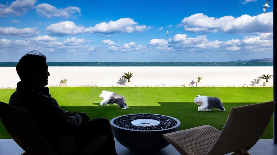 PERROS VILLA AWAJI