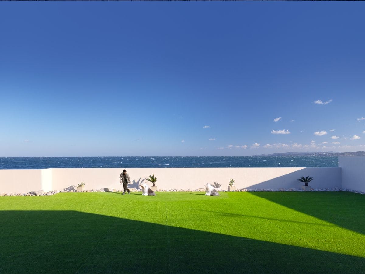 PERROS VILLA AWAJI