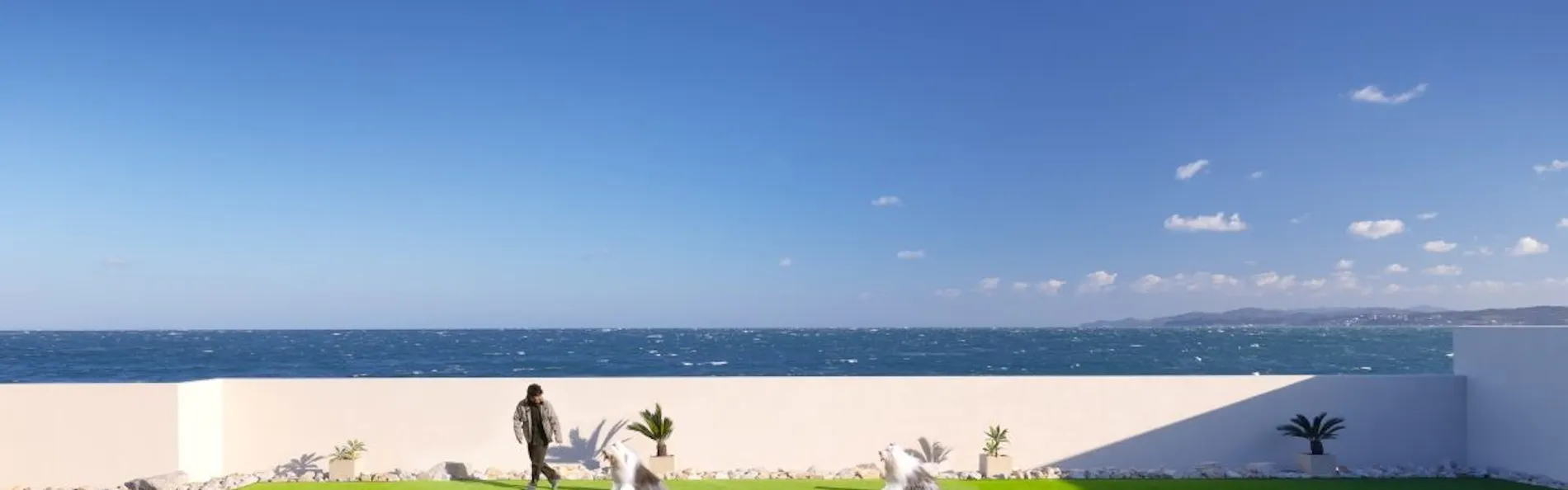 PERROS VILLA AWAJI