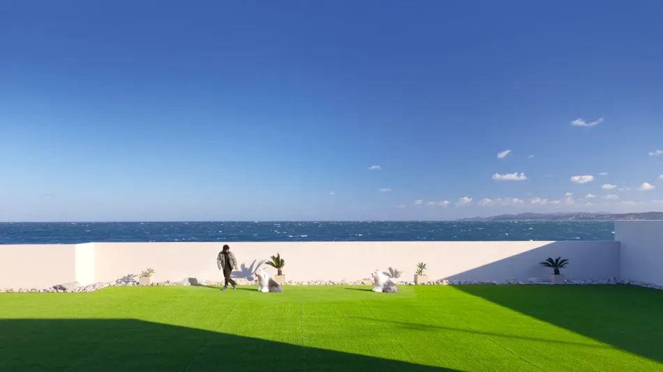 PERROS VILLA AWAJI