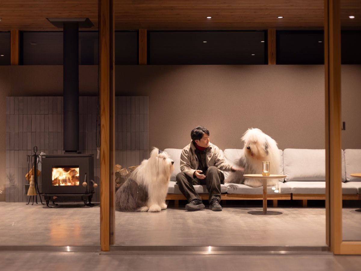 PERROS VILLA AWAJI