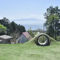 ドッグラン