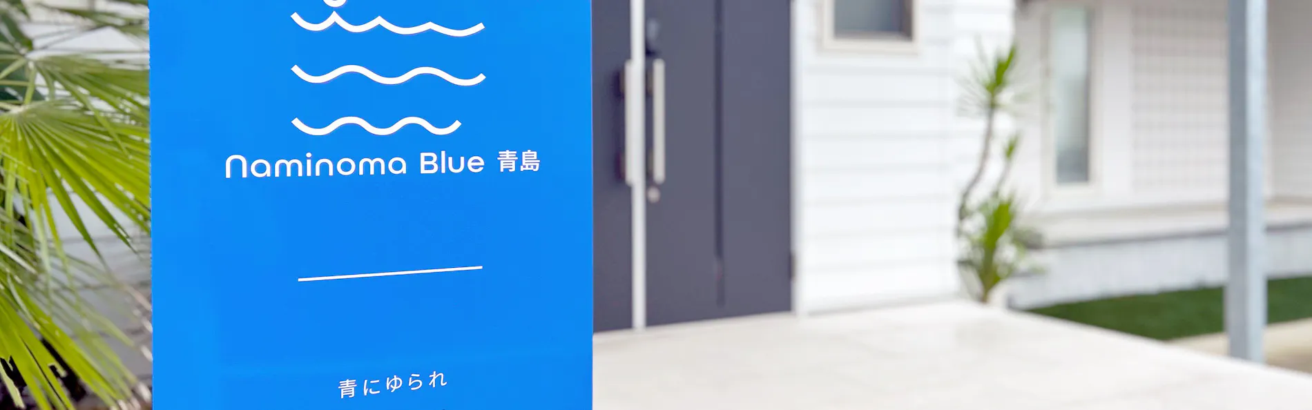 Naminoma Blue 青島