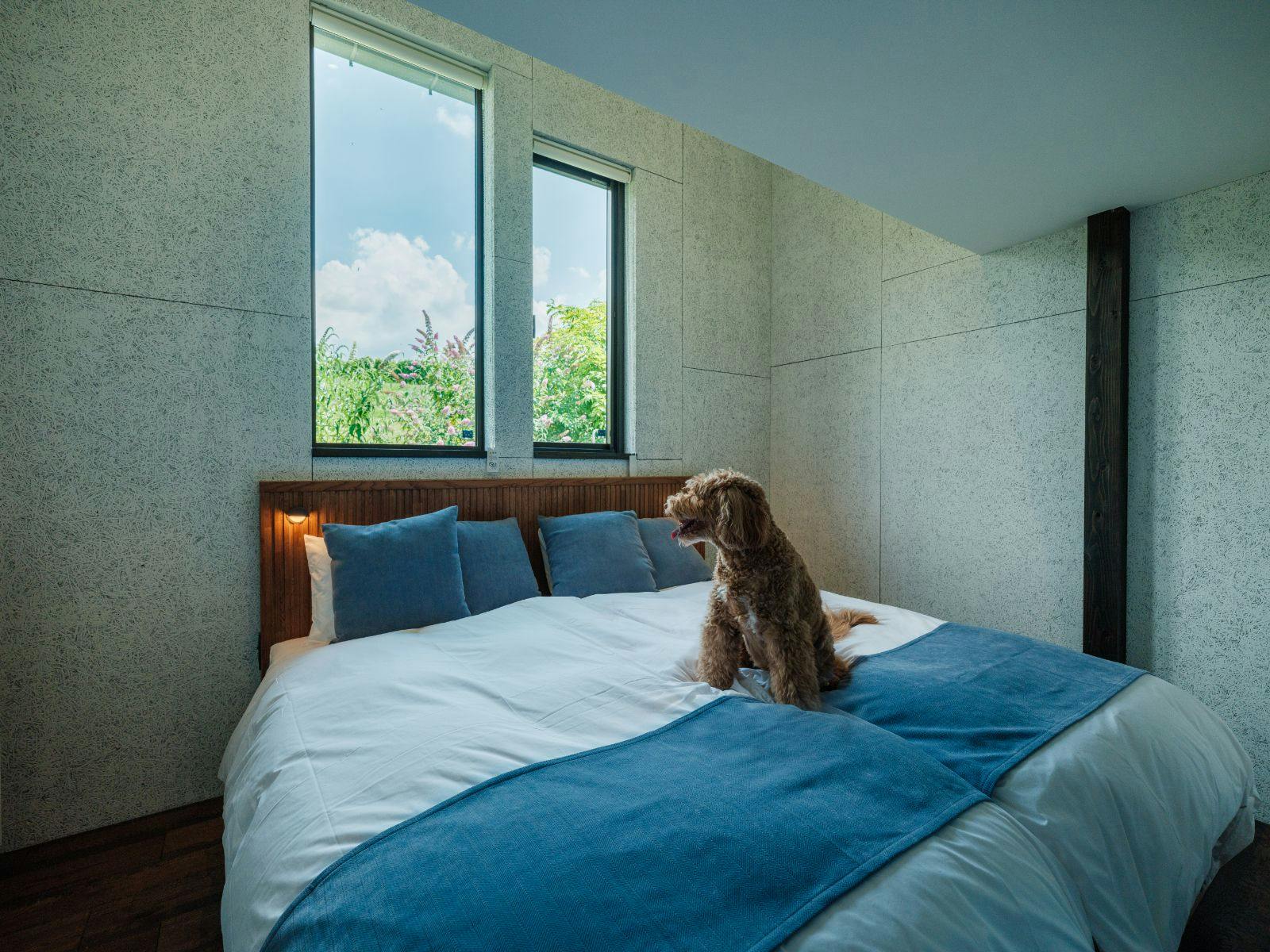 ASNOVA RESORT / 空の家ガーデン